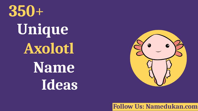 axolotl names ideas