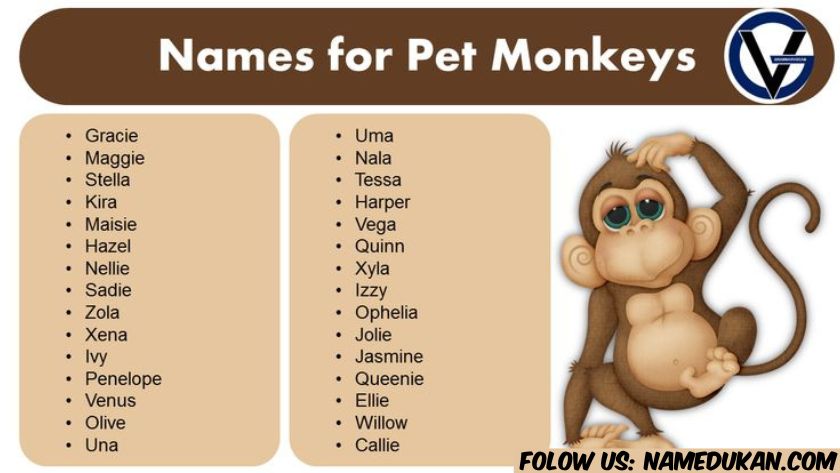 monkey name