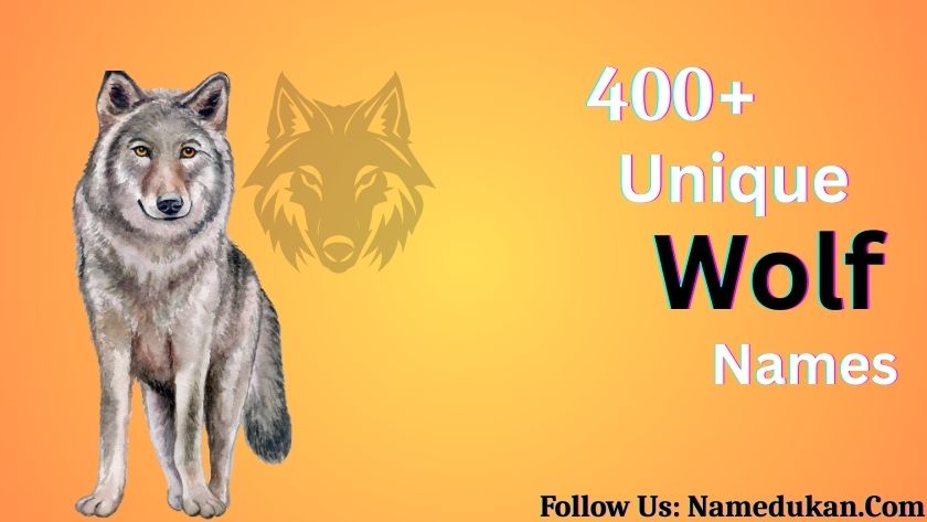 wolf names