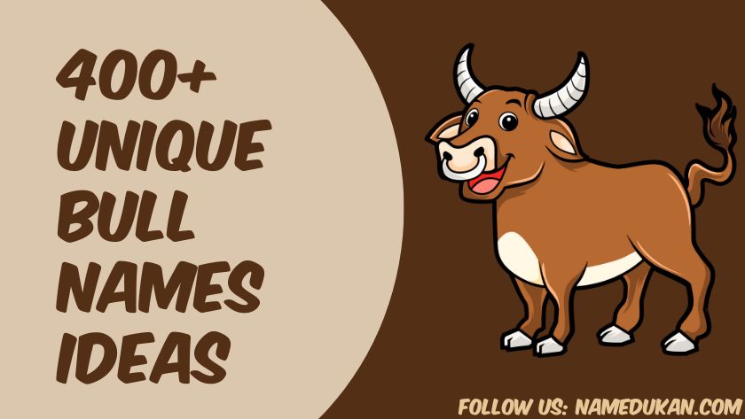bull names