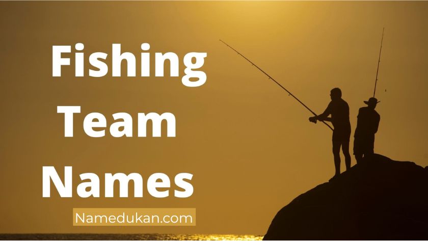 fish group names