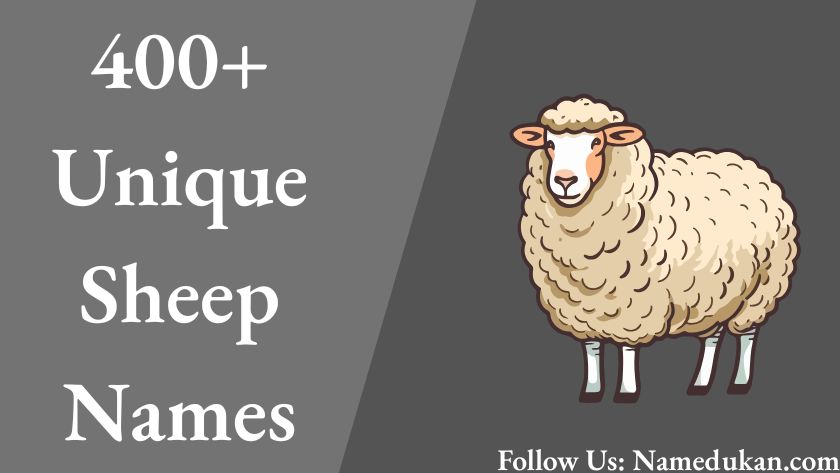sheep names